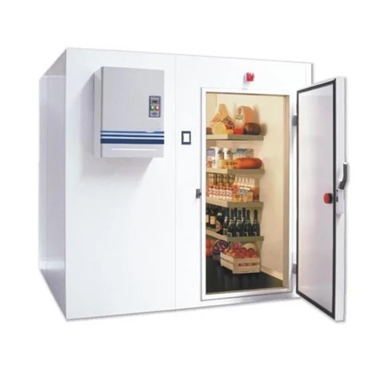 Preço de fábrica Resfriador de ar de alta qualidade Congelador rápido Armazenamento em câmara fria para alimentos