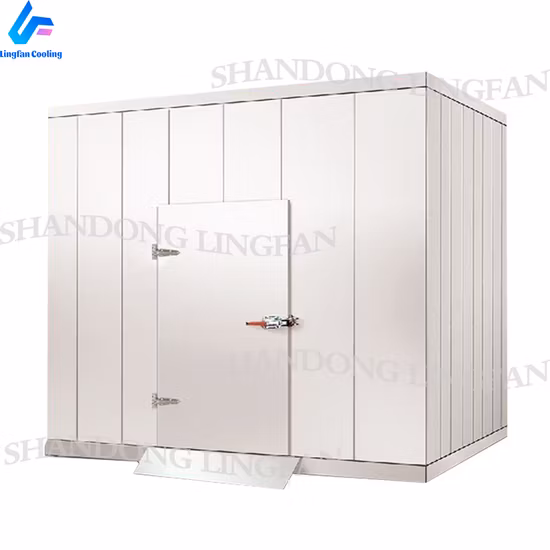 Preço China Armazenamento em câmara fria para carne e peixe Industrial Walk in Blast Freezer para armazenamento de alimentos em câmara fria